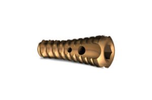 subtalar screw